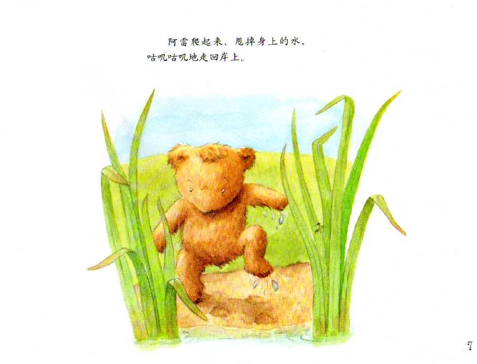 小熊孵蛋 (08),绘本,绘本故事,绘本阅读,故事书,童书,图画书,课外阅读